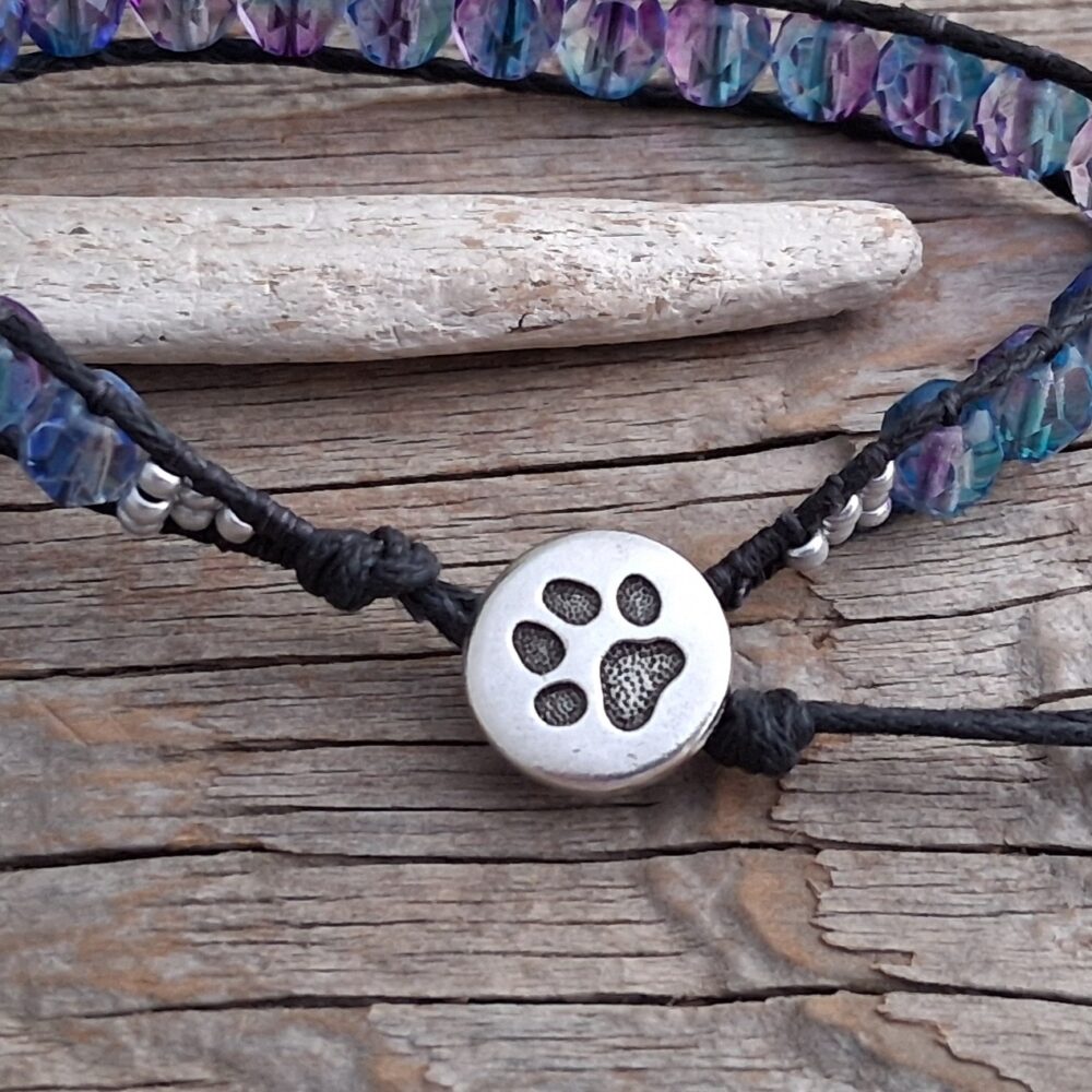 Paw Blessings